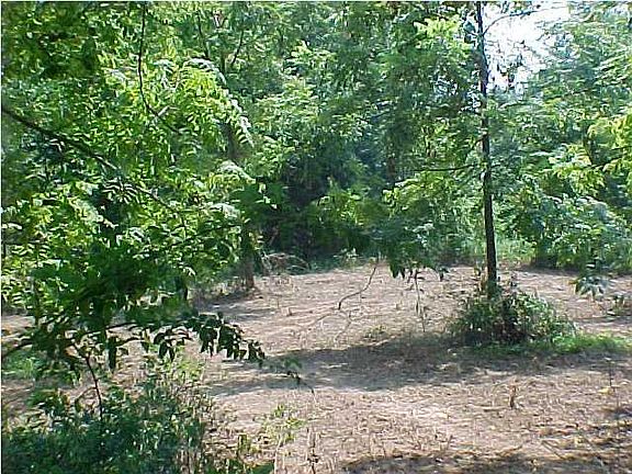 4th image of 6 McClain Heights Dr