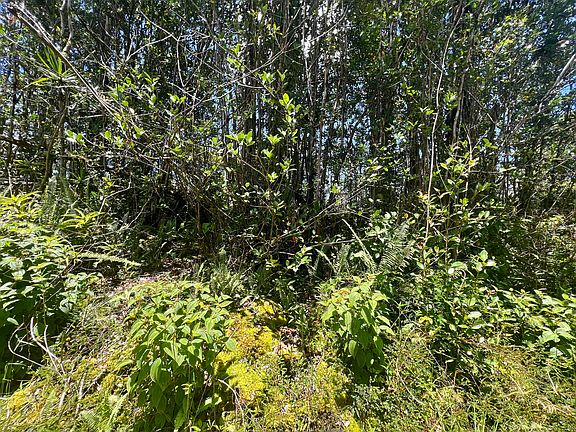 5th image of Road 3 Hopue #3345