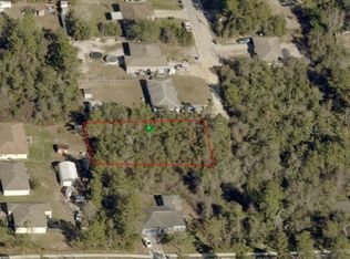 Palmetto Ave, Orange City, FL 32763