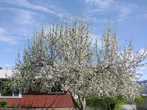 403 Spruce Rd, Kamiah, ID 83536