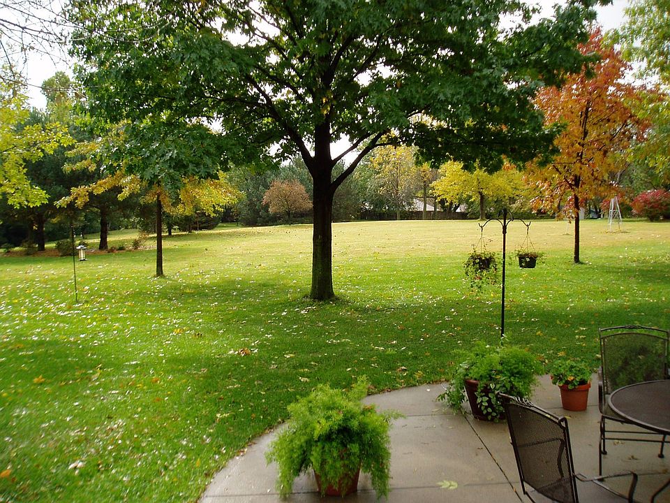 views of back yard
