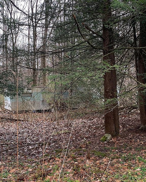 2nd image of 147 Pine Ln