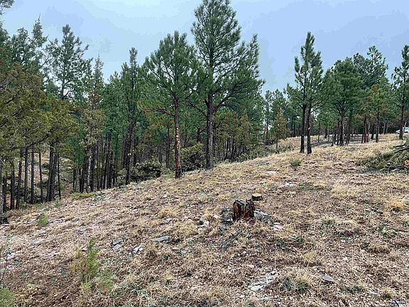 2nd image of 11562 Red Canyon Rd