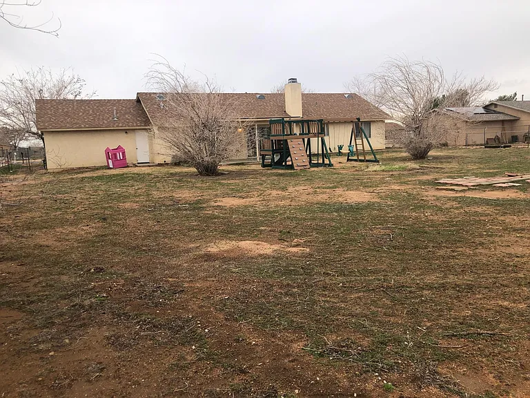 Huge Back Yard