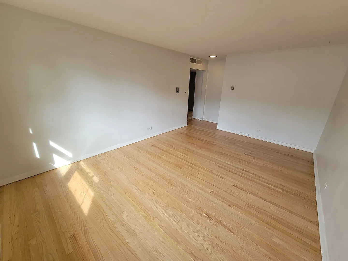 1 bed, $1,315 — Photo 3