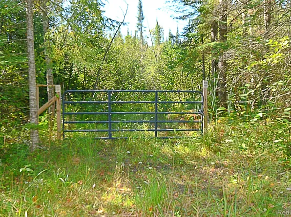 Sullivan Dr, Saint Helen, MI 48656