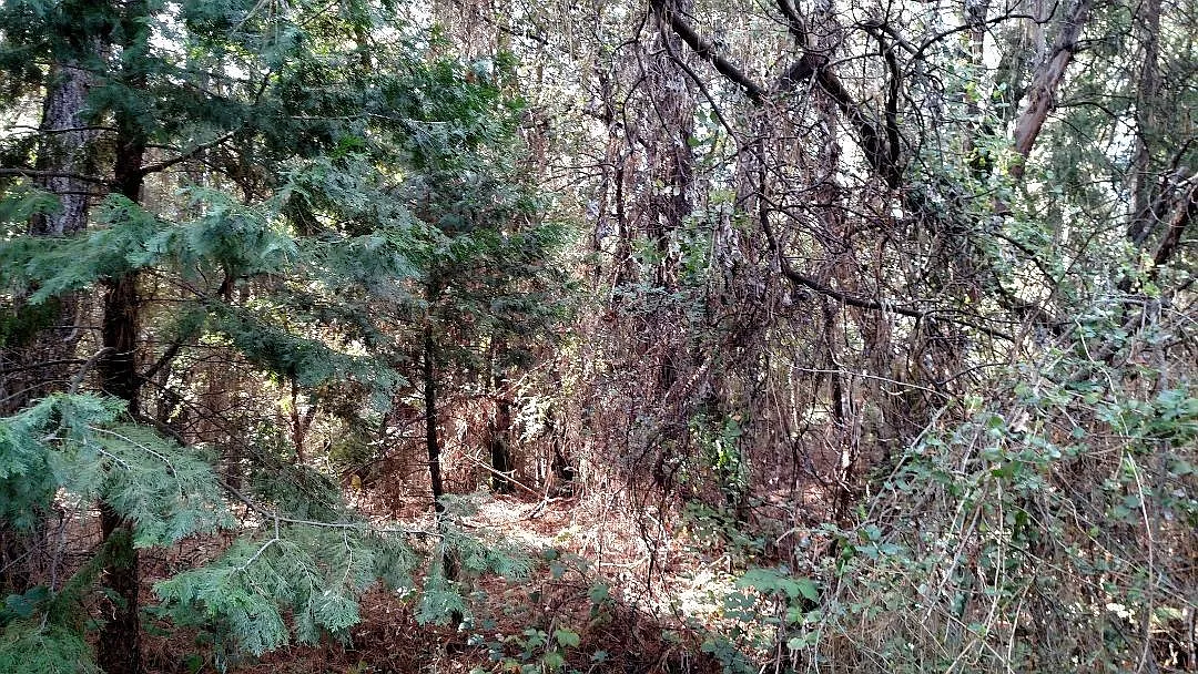 3189 Lake Ave photo 1