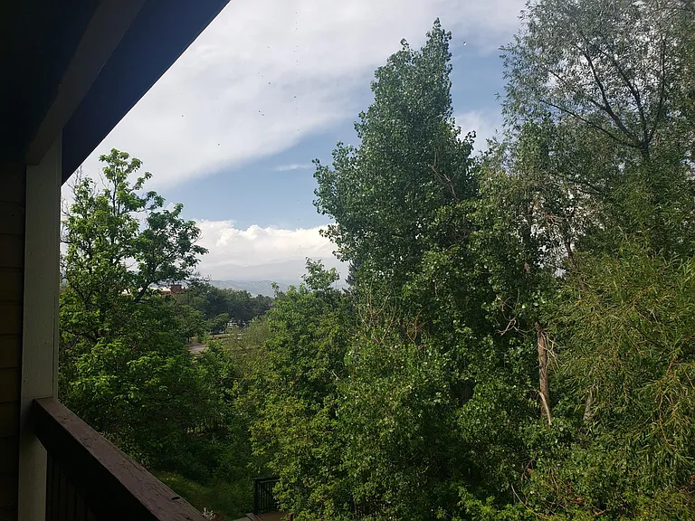 2805 Sundown Ln #312 — Photo 37