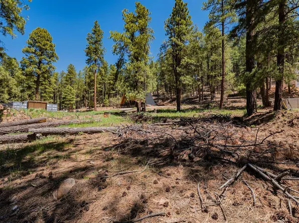 171 Snowbird Court, Bayfield, CO 81122