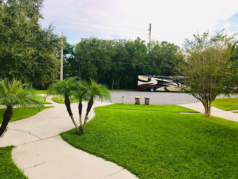 The front yard