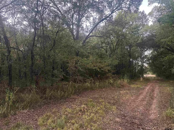 County Road 1180, Cooper, TX 75432