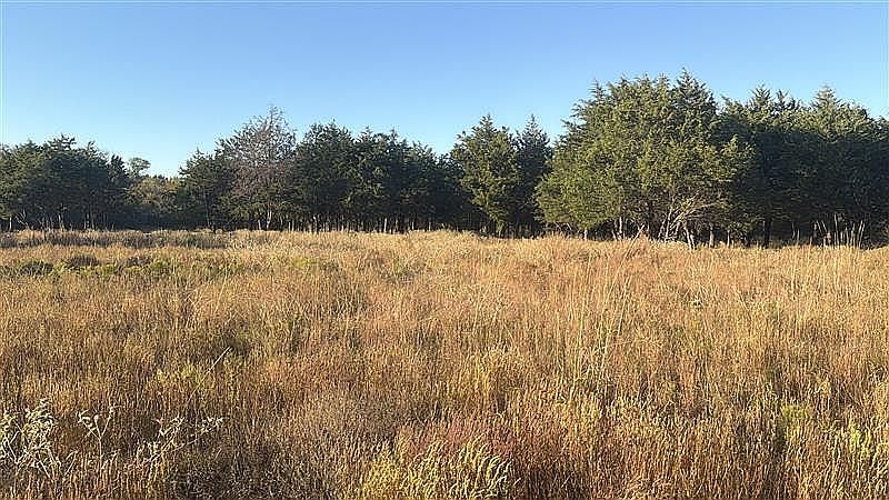 5 ac. near Richland Chambers