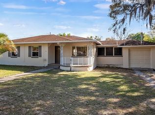 110 N Palm Ave, Howey In The Hills, FL 34737