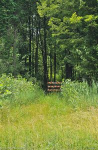 0 Bunton Rd, Willis, MI, 48191