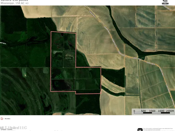 10 Country Rd, Greenwood, MS 38930