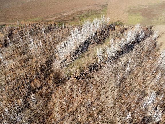 Dji Fly 20260211 151348 389 1771265961153 Photo Optimized