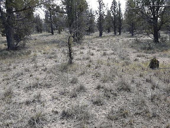4th image of 0 SE Texas Cir Lot 39