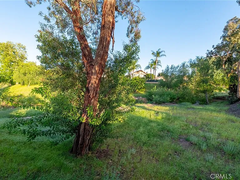 10 Valley Crest Rd — Photo 45