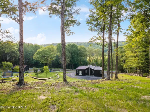 1136 Enid Road, Summit, NY 12175