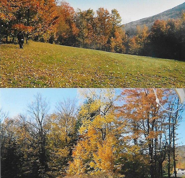 2nd image of Pantherlick Rd
