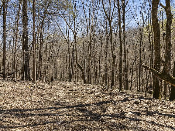 30th image of this home