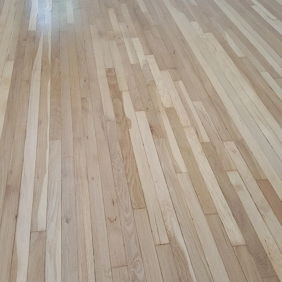 1 bed, 750 sqft, $1,700 — Photo 3