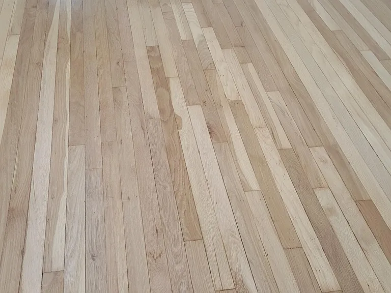 1146 Gordon St #6 — Photo 3