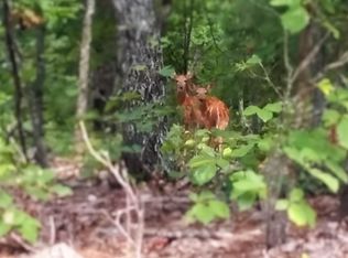 0 Gail Ln, Meansville, GA 30256