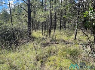 52 Oakmont Dr, Timberon, NM 88350