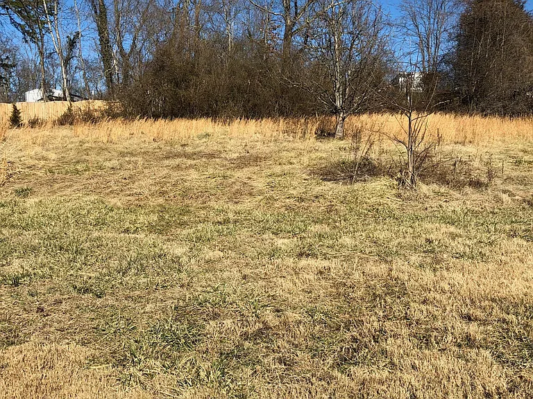 160 Onteora Blvd — Photo 19