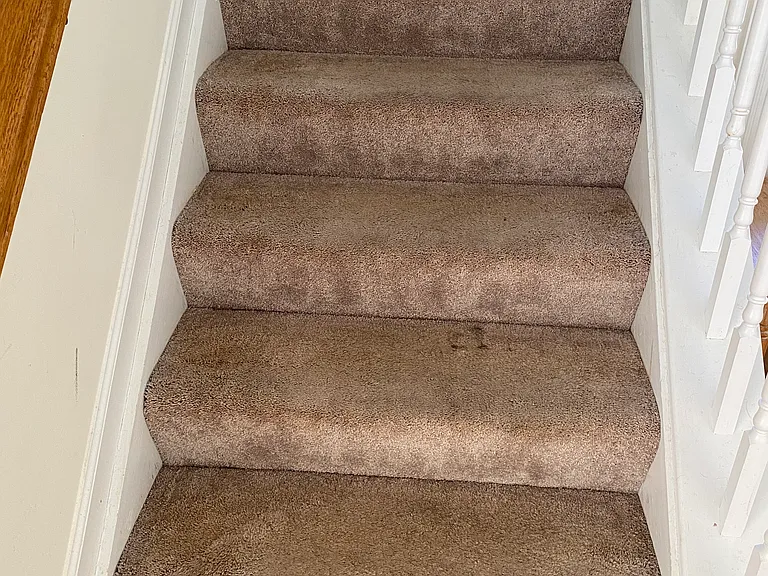 1532 Primrose Ln — Photo 19
