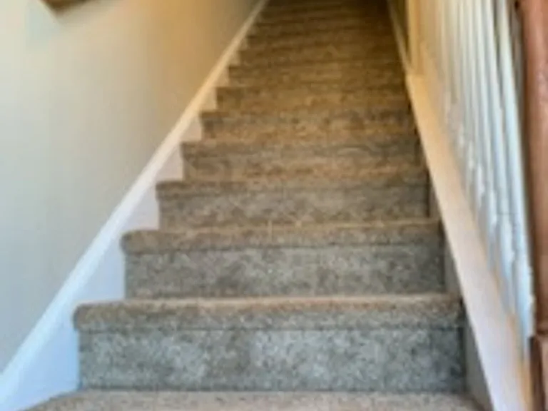 861 Forest Park Rd — Photo 9