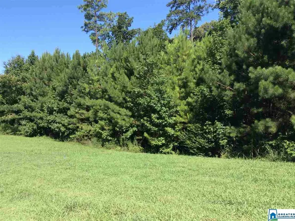 Lot 1 Indian Gate Cir Lot 1, Birmingham, AL 35242