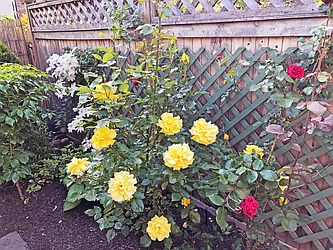 Rented by Southfacing Realty, LLC