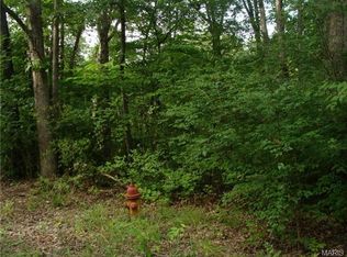 Shannon Ct, Pacific, MO 63069