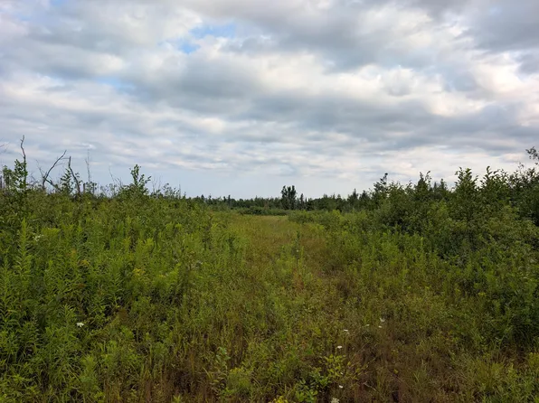 V/l 43ac Calcut Rd, Lachine, MI 49753