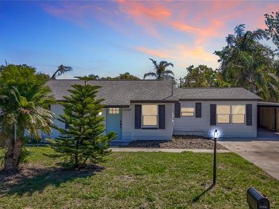 1209 W Camellia Dr, Brandon, FL, 33510