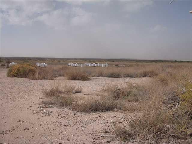 2nd image of 0 San Elizario St