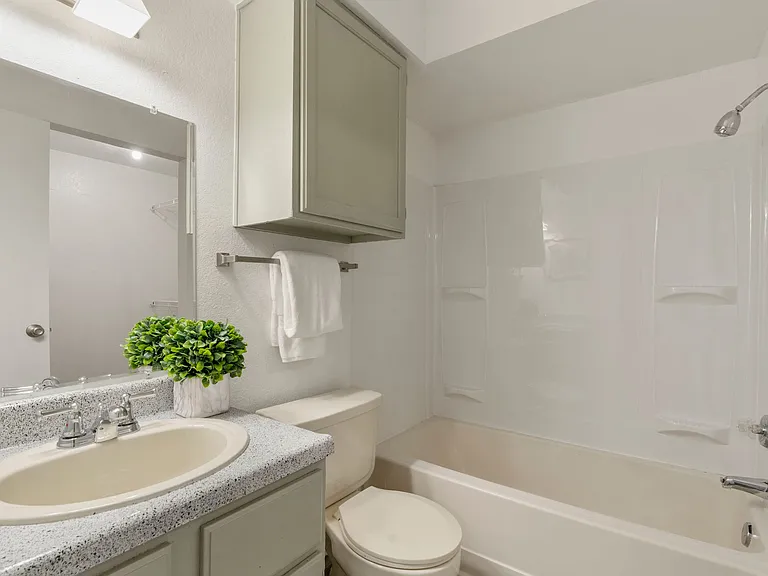 Forest Pointe Apartments — Photo 10