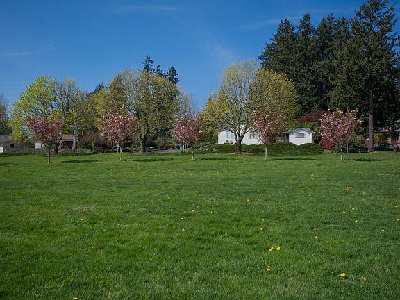 View of house from park