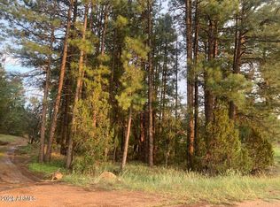 1934 State Route 260 Rte #C, Overgaard, AZ 85933