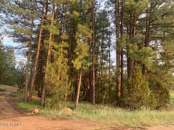 1934 STATE ROUTE 260 Route #C, Overgaard, AZ 85933