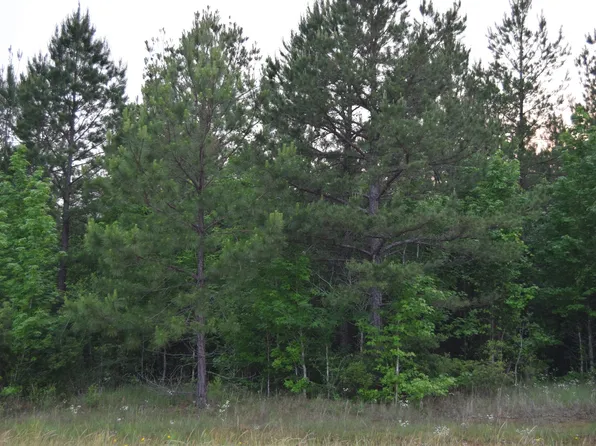 1 Ryans Way, Minden, LA 71055