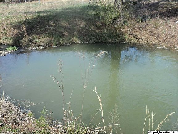 5th image of 5225 County Road 19