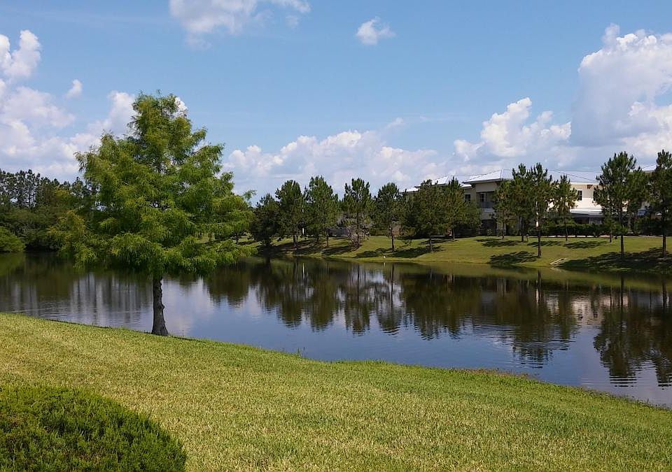 Water view