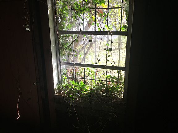 3rd image of 2255 Cosgrove Ave