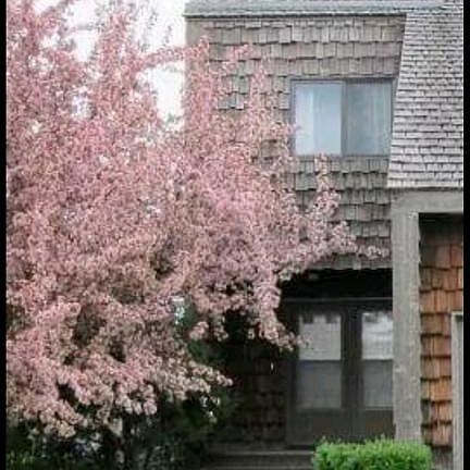 2nd image of 502 37th Ave S