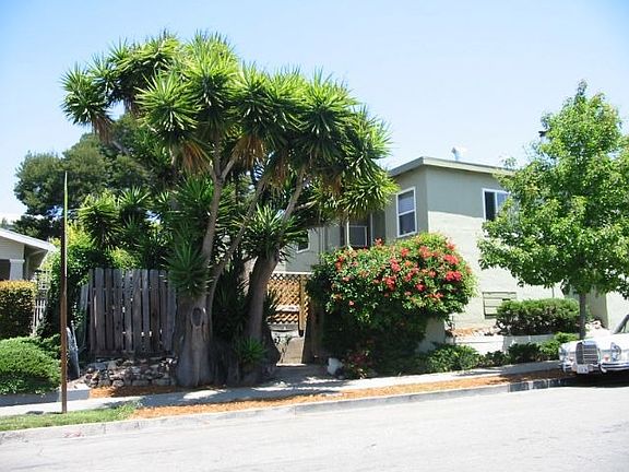 3rd image of 3651 Maple Ave