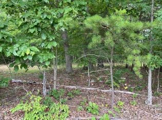 Horseshoe Bend Rd LOT 6, Goodview, VA 24095