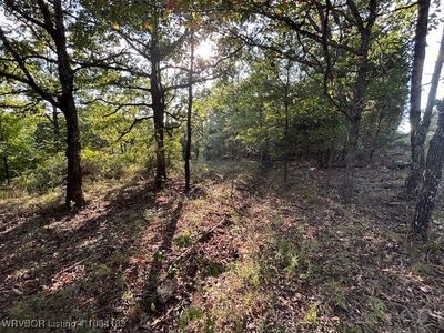 15684 Tower Rd, Winslow, AR, 72959